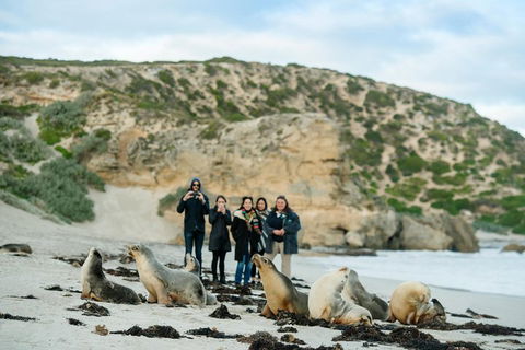 Small-Group Kangaroo Island 4WD Tour From Adelaide - Getaway Accommodation 4