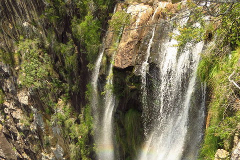 Beyond Byron Hinterland Tour - Getaway Accommodation 5