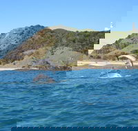Kayaking with Dolphins in Byron Bay Guided Tour - Getaway Accommodation