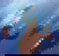 12-Day Great Barrier Reef Marine Conservation Program from Cairns