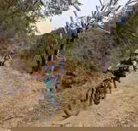 Mount Lofty Descent Bike Tour from Adelaide - Getaway Accommodation
