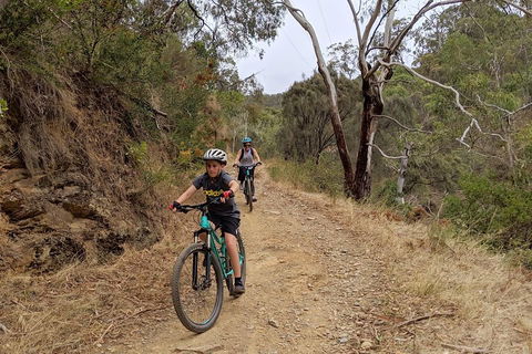 Mount Lofty Descent Bike Tour From Adelaide - Getaway Accommodation 0