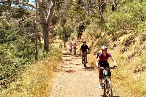 Mount Lofty Descent Bike Tour From Adelaide - Getaway Accommodation 3