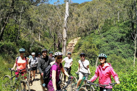 Mount Lofty Descent Bike Tour From Adelaide - Getaway Accommodation 5