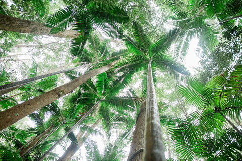 Fraser Explorer K'gari 2-Day Tour - Getaway Accommodation 2