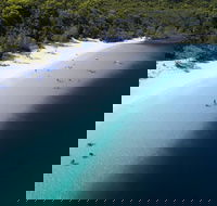 All-Inclusive Fraser Island Day Tour - Getaway Accommodation