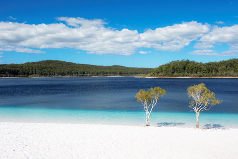 All-Inclusive Fraser Island Day Tour - Getaway Accommodation 3