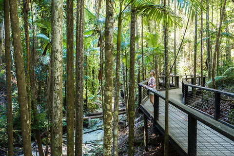 All-Inclusive Fraser Island Day Tour - Getaway Accommodation 5