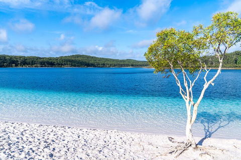 Lake McKenzie Full-Day Tour With Lunch From Hervey Bay - Getaway Accommodation 1