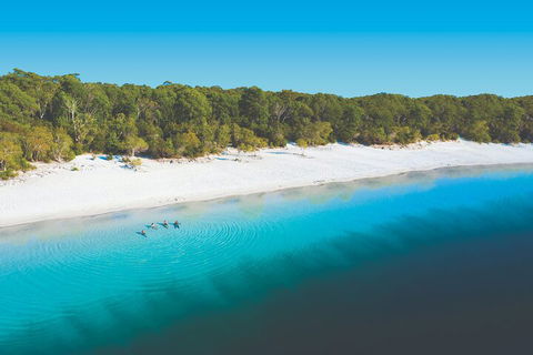 Lake McKenzie Full-Day Tour With Lunch From Hervey Bay - Getaway Accommodation 4