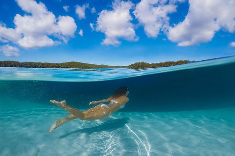 Lake McKenzie Full-Day Tour With Lunch From Hervey Bay - Getaway Accommodation 5