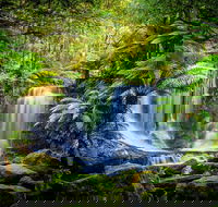Day Tour in Mt. Field Mt. Wellington Bonorong Wildlife Sanctuary and Richmond - Getaway Accommodation