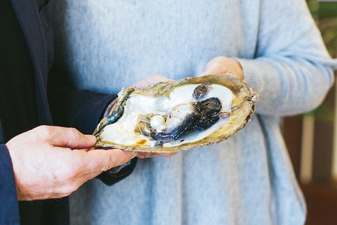 Half-Day Willie Creek Pearl Farm Tour With Helicopter Flight - Getaway Accommodation 3