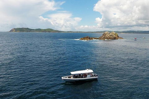 Julian Rocks Byron Bay Cruise - Getaway Accommodation 5