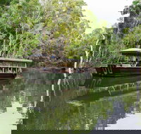 Hartley's Crocodile Adventures Breakfast with the Koalas - Getaway Accommodation