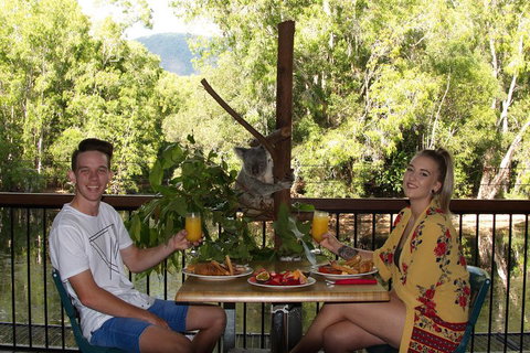 Hartley's Crocodile Adventures Breakfast With The Koalas - Getaway Accommodation 5