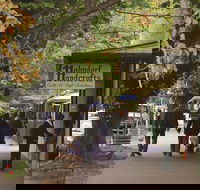 Adelaide Highlights Hahndorf  McLaren Vale Wine Tasting and Sightseeing Tour - Getaway Accommodation