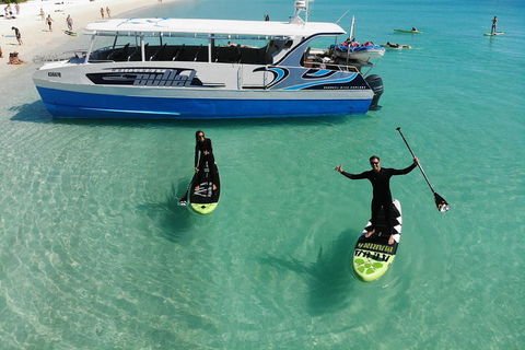 Whitsunday Bullet Day Trip - Whitehaven Beach And Snorkelling - Getaway Accommodation 4