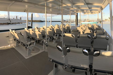 Whitsunday Bullet Day Trip - Whitehaven Beach And Snorkelling - Getaway Accommodation 5