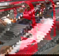 Blue Mountains Private Tour with Wildlife Park and River Cruise - Getaway Accommodation