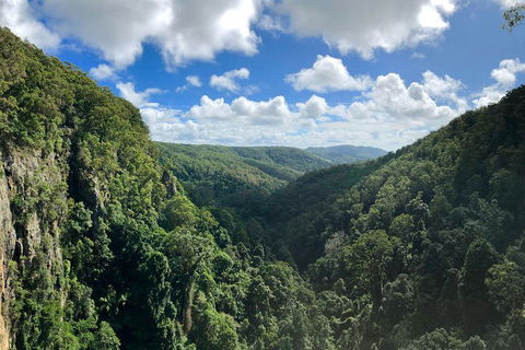 Springbrook Full Day Tour - Getaway Accommodation 1