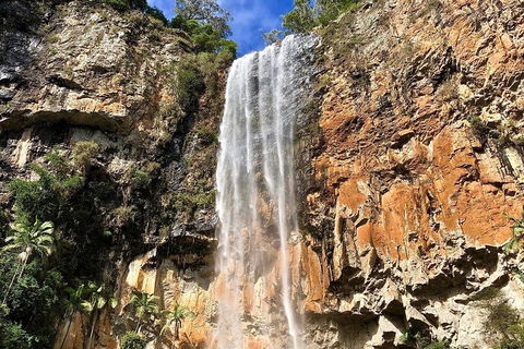 Springbrook Full Day Tour - Getaway Accommodation 2