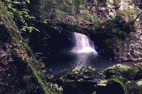 Springbrook Full Day Tour - Getaway Accommodation 3