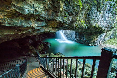 Springbrook Full Day Tour - Getaway Accommodation 4