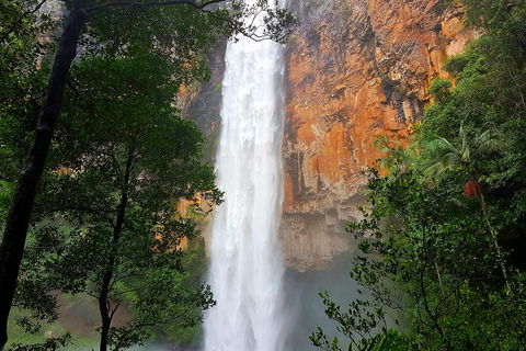 Springbrook Full Day Tour - Getaway Accommodation 5