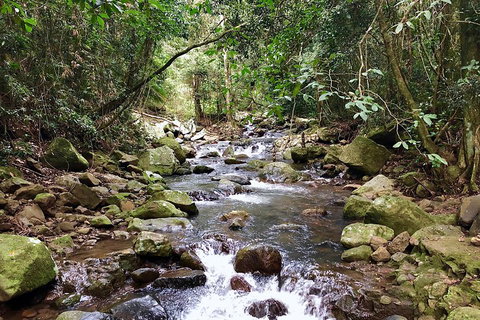 Exclusive Private Tour - Design Your Own - Getaway Accommodation 1