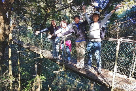 Exclusive Private Tour - Design Your Own - Getaway Accommodation 5