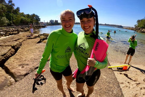 Manly Snorkel Trip And Nature Walk With Local Guide - Getaway Accommodation 1
