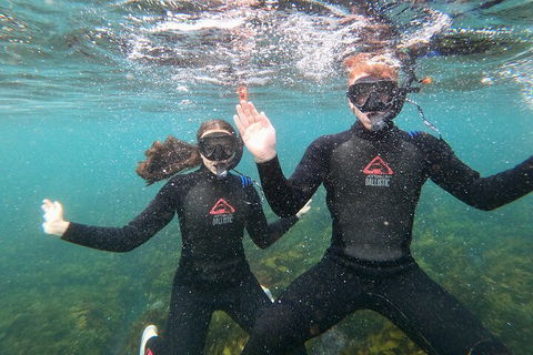 Manly Snorkel Trip And Nature Walk With Local Guide - Getaway Accommodation 3