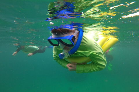 Manly Snorkel Trip And Nature Walk With Local Guide - Getaway Accommodation 5