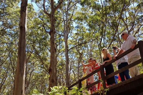 The All About Margaret River Tour: Wine, Coffee, Lunch And Forest - Getaway Accommodation 3
