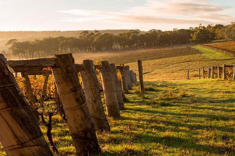 The All About Margaret River Tour: Wine, Coffee, Lunch And Forest - Getaway Accommodation 5