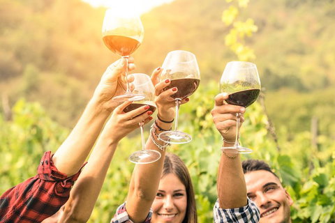 Barossa Valley Cellar Doors Luxury Wine Tour - Getaway Accommodation 1