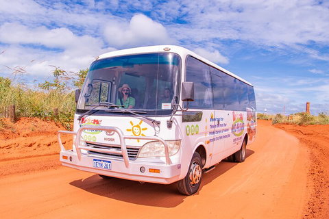 Malcolm Douglas Crocodile Park Tour Including Transportation - Getaway Accommodation 3