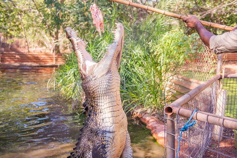 Malcolm Douglas Crocodile Park Tour Including Transportation - Getaway Accommodation 5