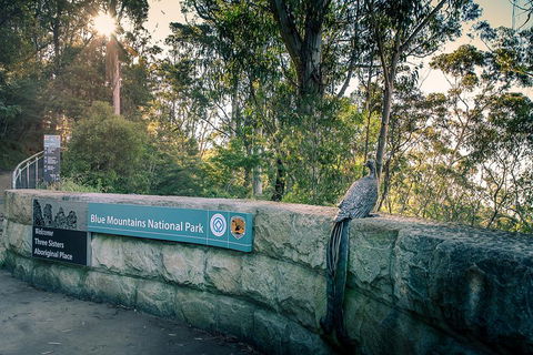 Ultimate Blue Mountains Waterfalls, Walks & Sunset PRIVATE Tour - Getaway Accommodation 3