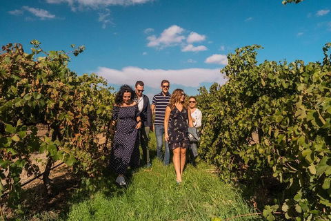 Barossa Valley Private Tour (from 2 To 11 People) - Getaway Accommodation 0
