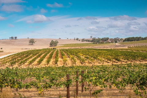 Barossa Valley Private Tour (from 2 To 11 People) - Getaway Accommodation 2