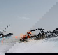 Adventure Whale Watching Tour Mooloolaba - Getaway Accommodation