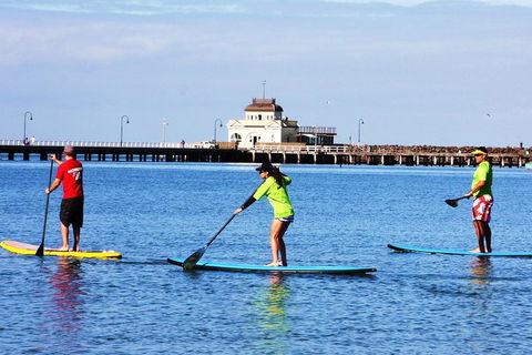 Private Stand-Up Paddle Board Lesson At St Kilda - Getaway Accommodation 1