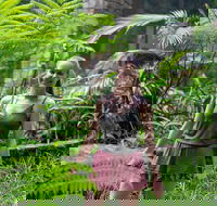 Full-Day Guided Hinterland Adventure Tour in Queensland - Getaway Accommodation