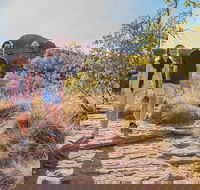 Kings Canyon Day Trip from Ayers Rock Uluru - Getaway Accommodation