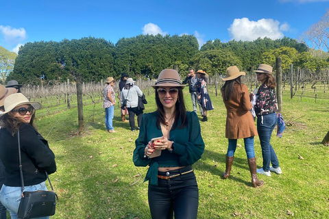 Mt Tamborine Full Day Wine Tour - Getaway Accommodation 1