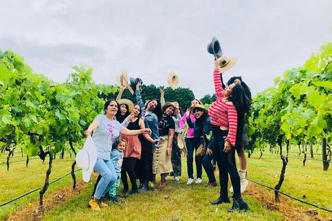 Mt Tamborine Full Day Wine Tour - Getaway Accommodation 4