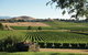 Yarra Valley 2-6 Guests Premium Food And Wine Inc Lunch At Dominique Portet - thumb 2