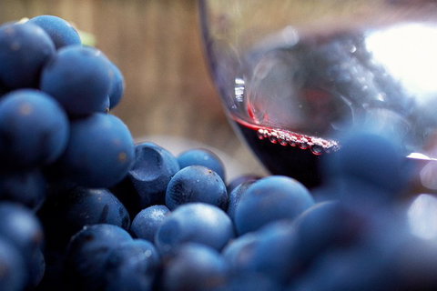 Yarra Valley 2-6 Guests Premium Food And Wine Inc Lunch At Dominique Portet - Getaway Accommodation 5